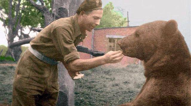从人类发展到现在,影响最大波及最深的战争莫过于第二次世界大战.