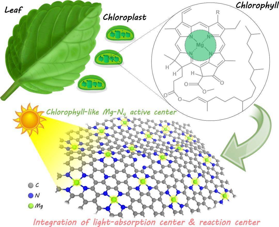 环状碳酸酯被广泛用作为甲基化和羰基化反应的原料,以及制备聚酯材料