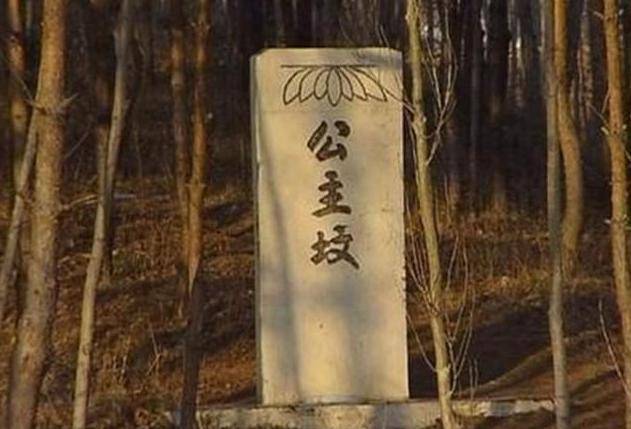 原创北京的公主坟为什么叫公主坟埋得的公主都是哪个朝代的