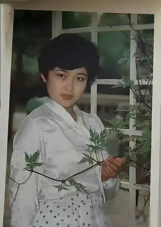 经典银河回忆收藏美好岁月1988年银河之星挂历