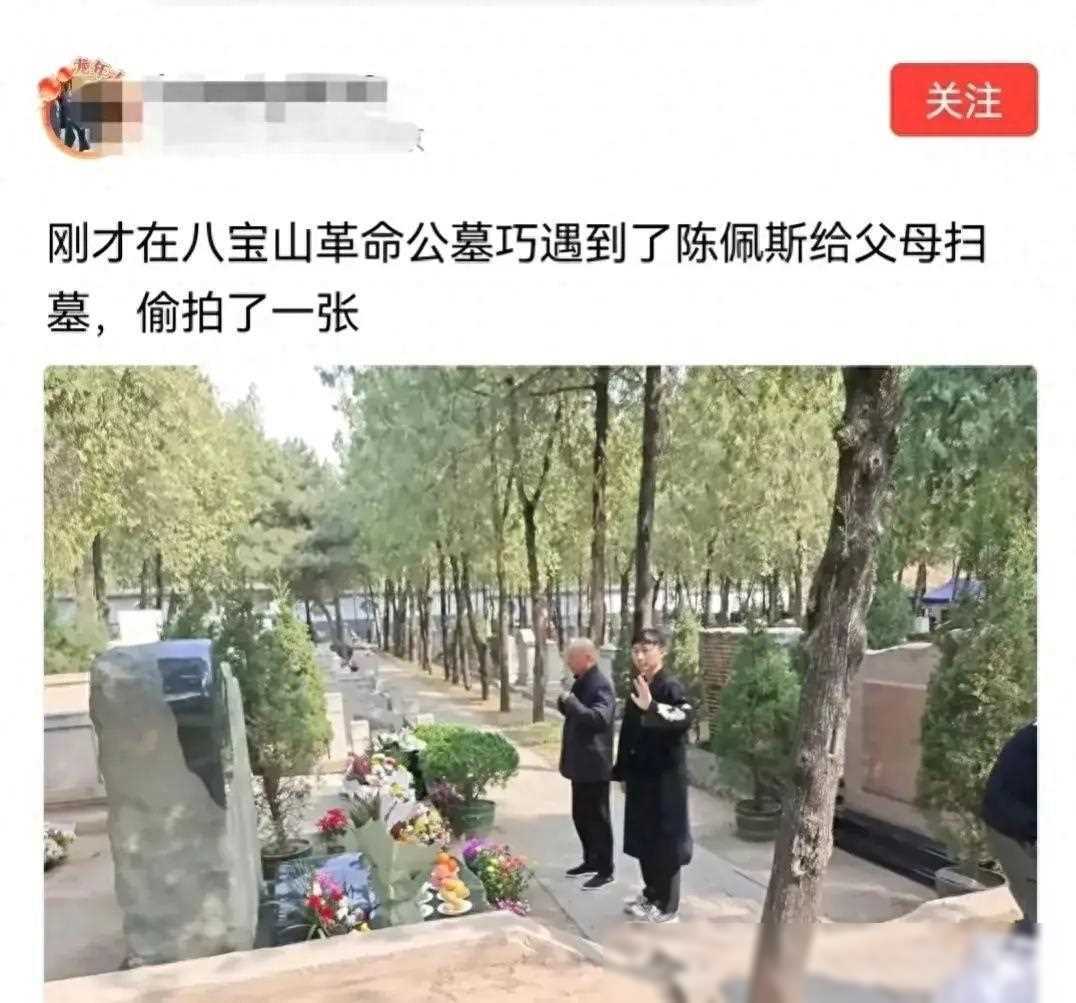 陈佩斯相片图片