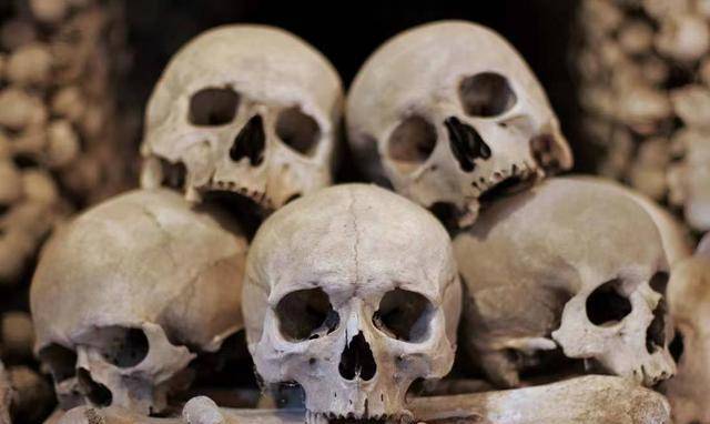 杭州杀人分尸楼栋没人敢住人为何害怕同类尸体却不害怕动物的