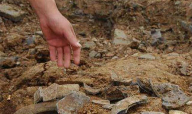 湖北荆门现2500年古墓出土一具女性残尸专家盗墓贼真不是人
