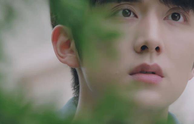 在最开始的时候,棠雪是喜欢过喻言的,而这个事情也算的上是棠雪和