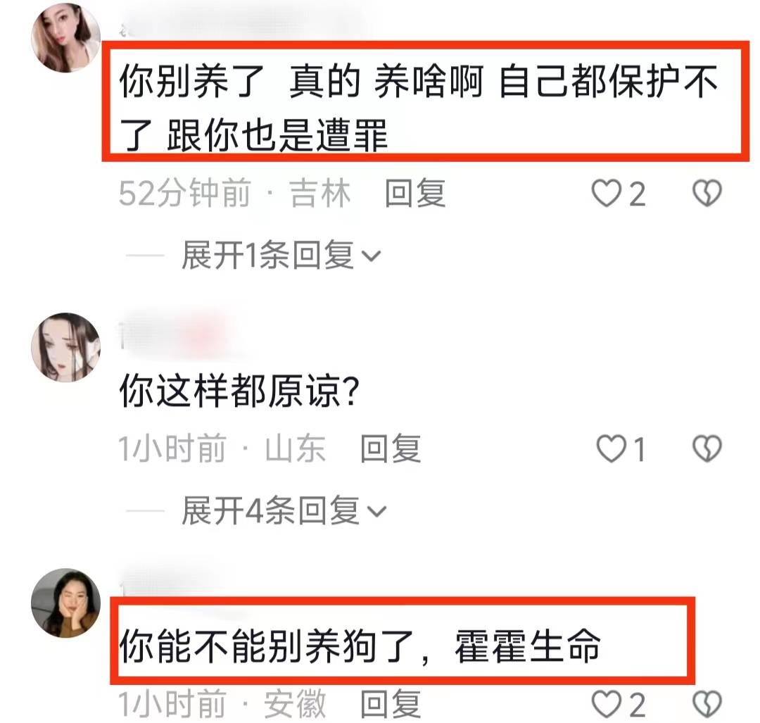 后续!砍死三条狗的婆婆已回老家,儿媳再养狗