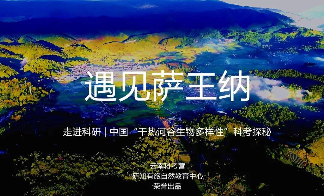 时间安排:2024年7月-8月【6天5晚】科考地点:中国61云南61元江