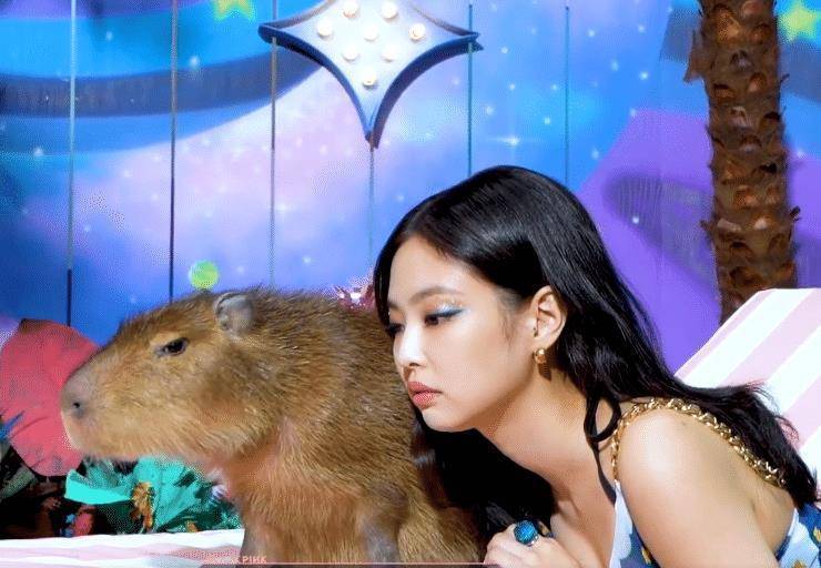 大家都说blackpink女团中的lisa很瘦,可是咱们的jennie也不胖