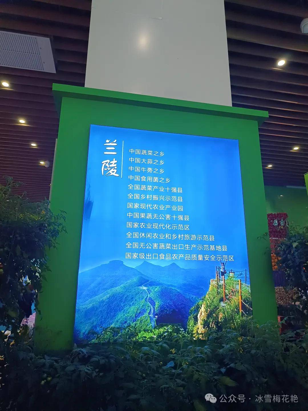 兰陵县菜博会又开始了
