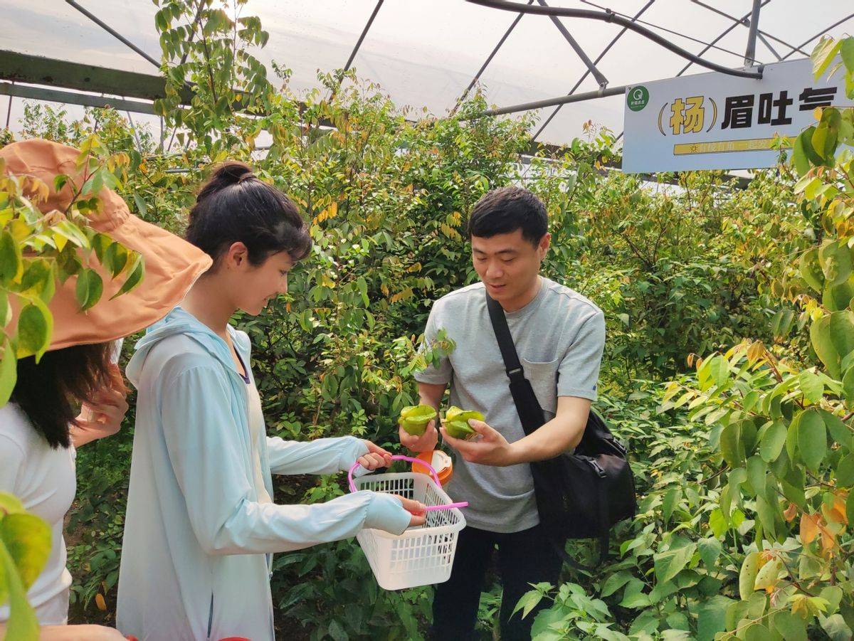 世茂服务福州向春出发老友新邻拾趣田园悦享生活