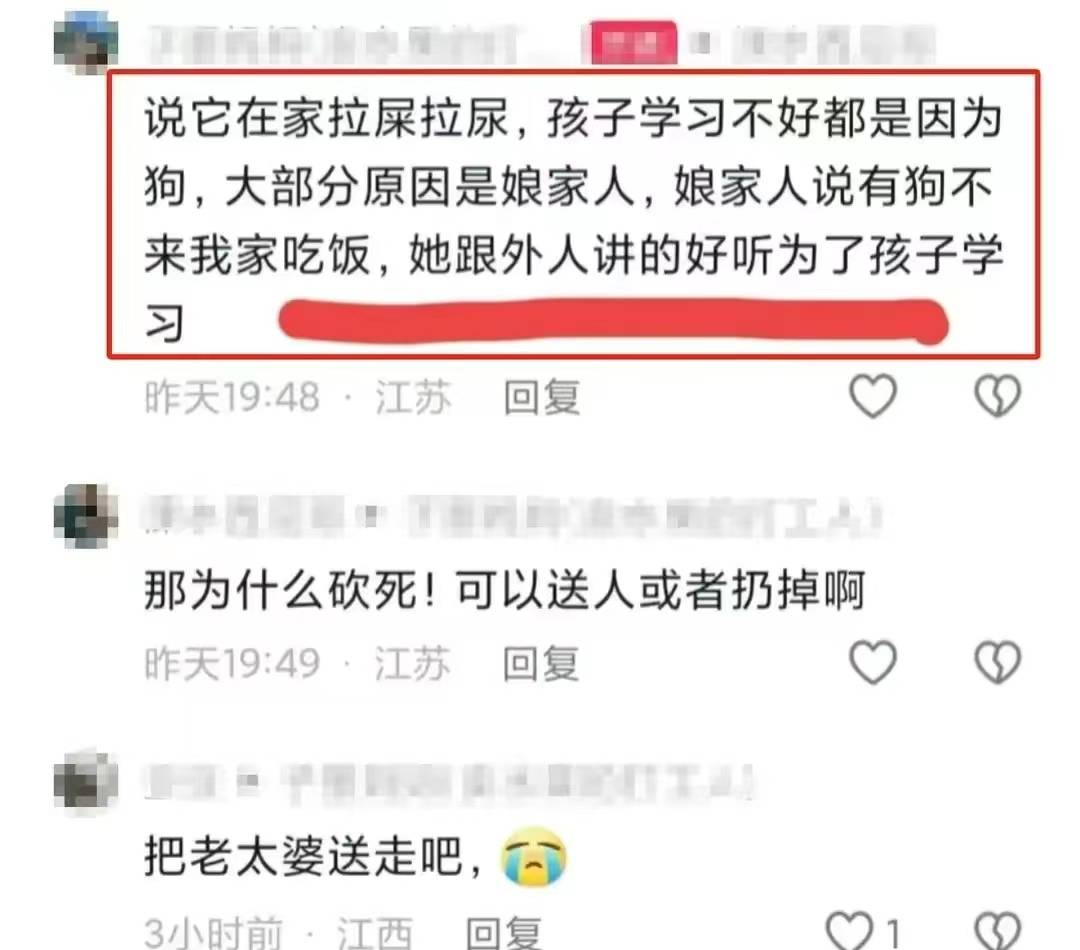 后续!砍死三条狗的婆婆已回老家,儿媳再养狗