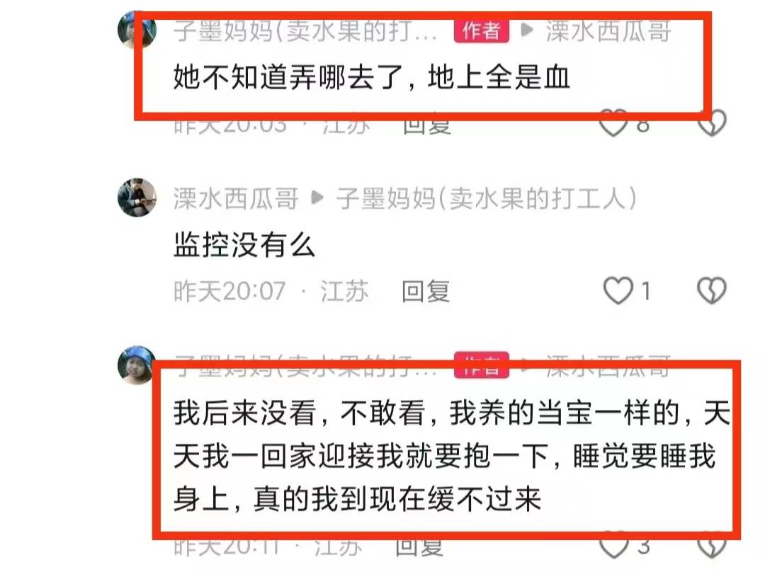 后续!砍死三条狗的婆婆已回老家,儿媳再养狗