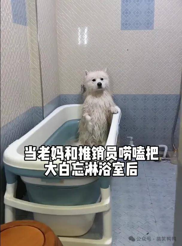via:@天上掉下个大白酱狗勾:准备好钱,我要生病了12有卧龙的地方必有