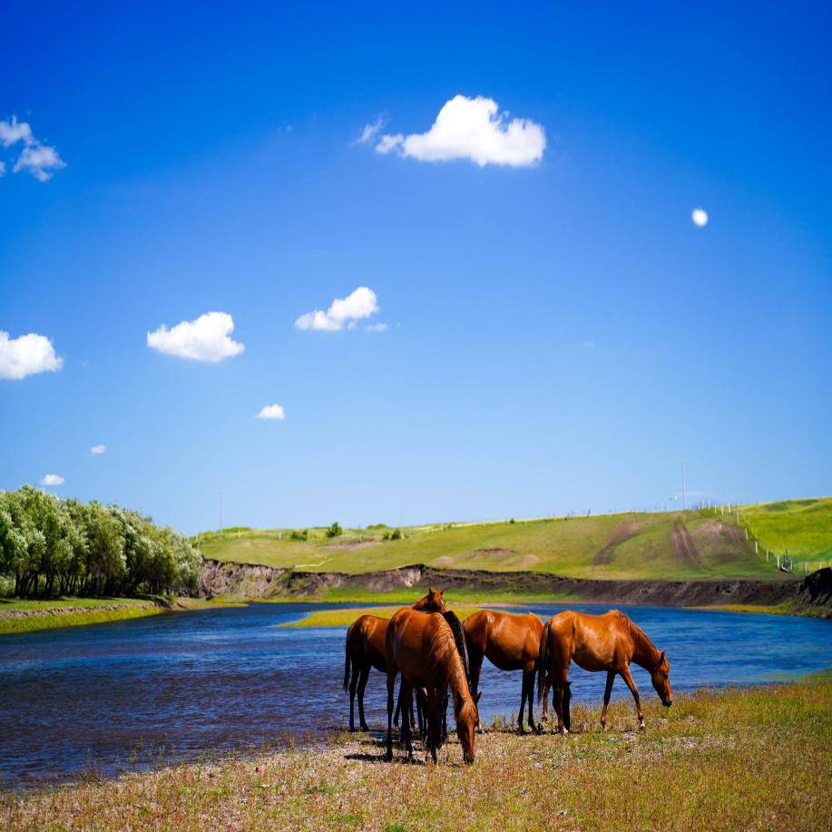 包头市去内蒙需要准备多少钱?人均1280!经历分享!_呼伦_草原_文化