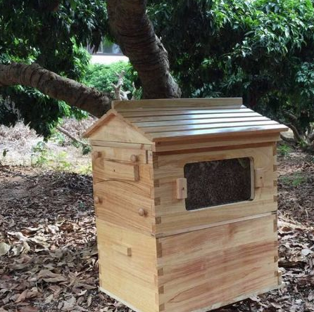 其实通过上面的分析我们已经不难发现,自动流蜜蜂箱的设计思路是好的