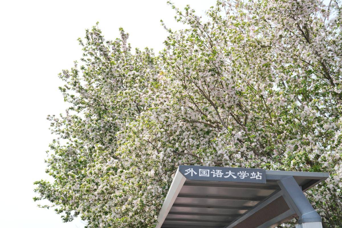 天津上大学这3所大学值得重点关注