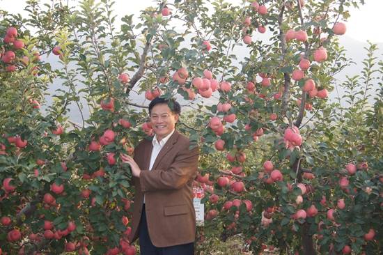 "四个苹果"卖了1600万元_学森_新品种_团队