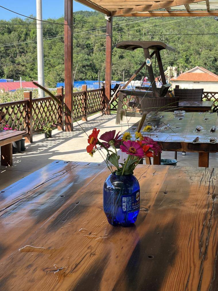 原创辽宁大连长海县广鹿岛田园闲居民宿12间客房可住30人三餐一宿每人