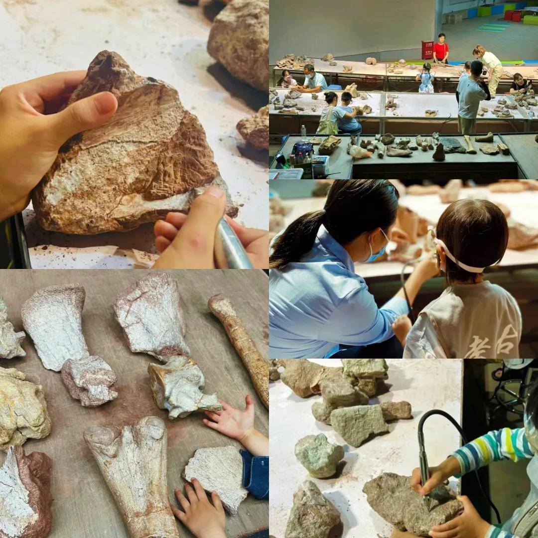 遇见萨王纳