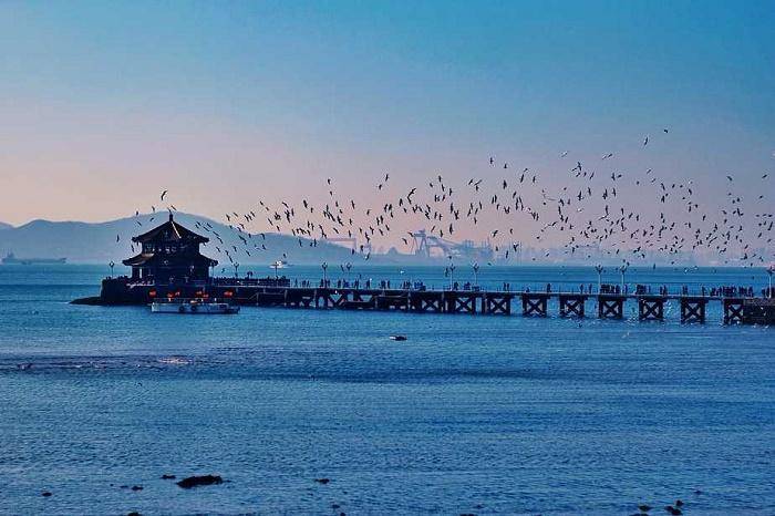 福州市去青岛需要准备多少钱人均只要1200经历分享