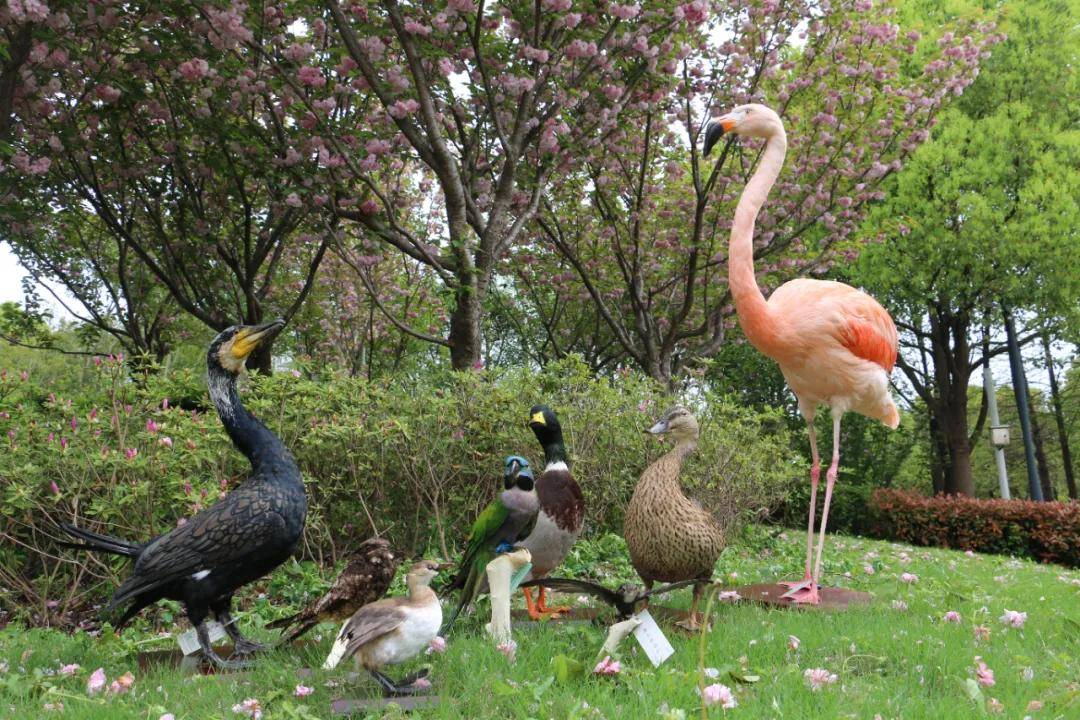 这个春天,来苏州上方山和动物朋友们约个会吧!