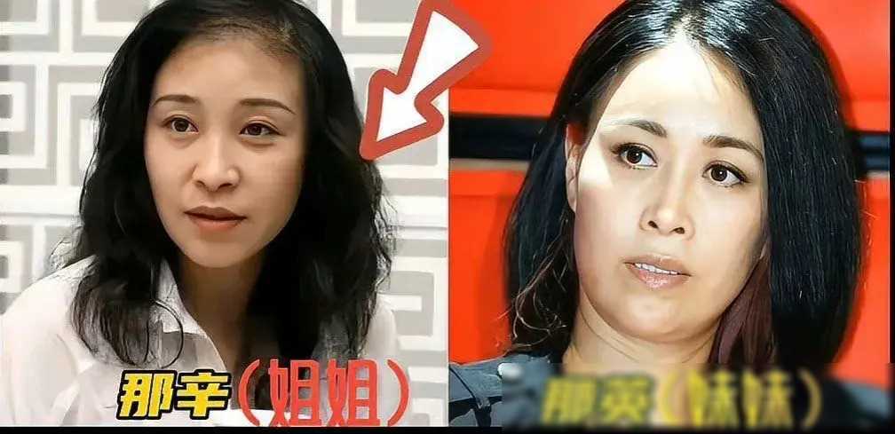 原创起底浙江卫视中国好声音那英姐姐是帮凶日资是否介入