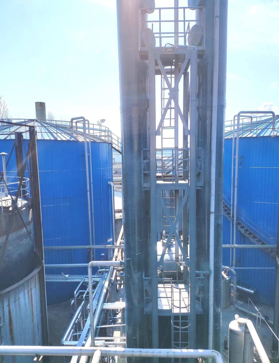 山东蓝绿青环保科技有限公司沼气生物脱硫系统专业供应商