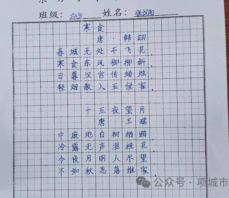 写规范字内容 50字图片