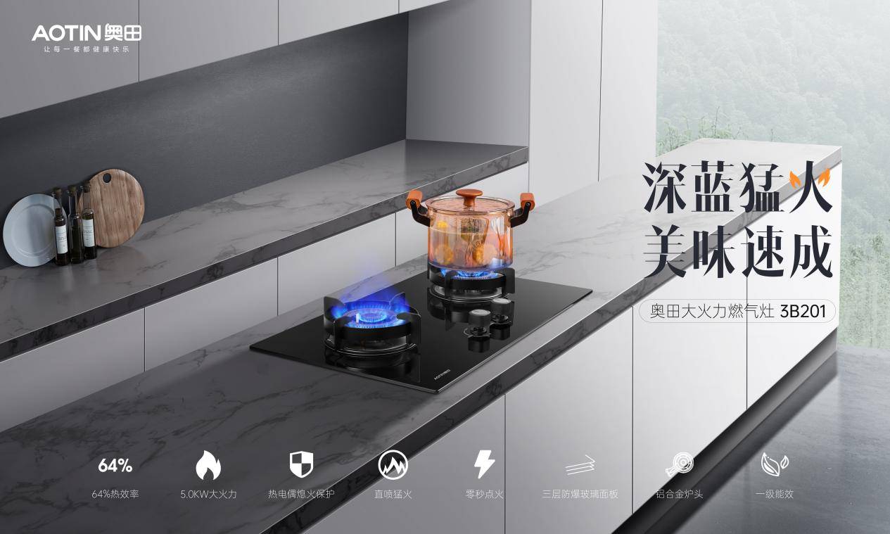 奥田3b201燃气灶大火力厨房灶具家庭烹饪的首选