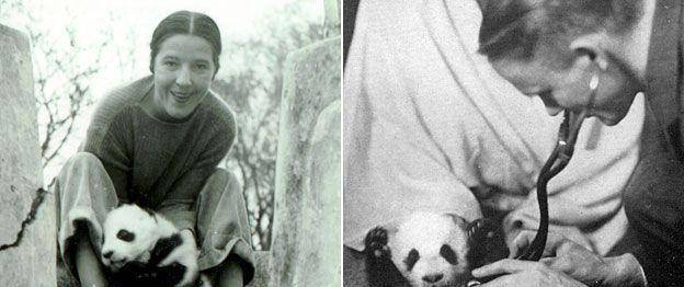 露丝·哈克尼斯_苏琳_美国