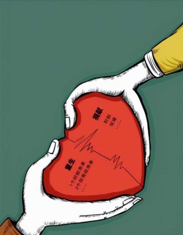 原创36年前狒狒心脏成功移植美国女婴身上续命后来一切还好吗