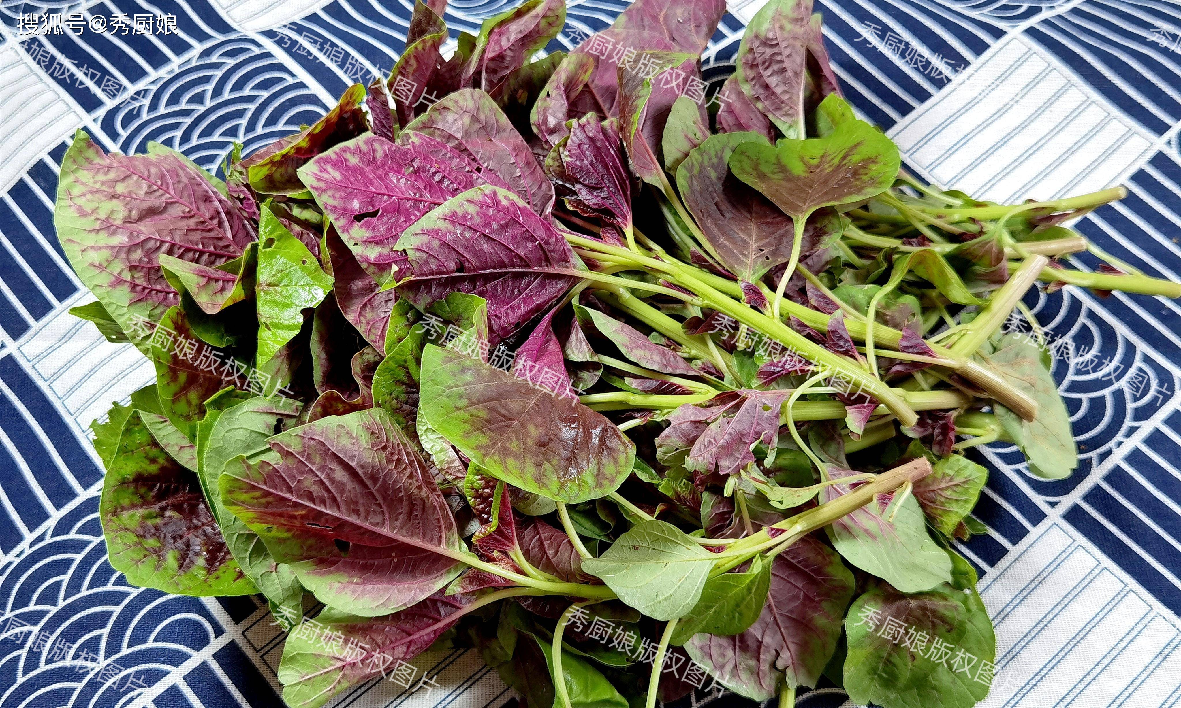 红苋菜,是一种色彩鲜艳,口感爽脆的蔬菜,不仅味道鲜美,而且含钙量高达