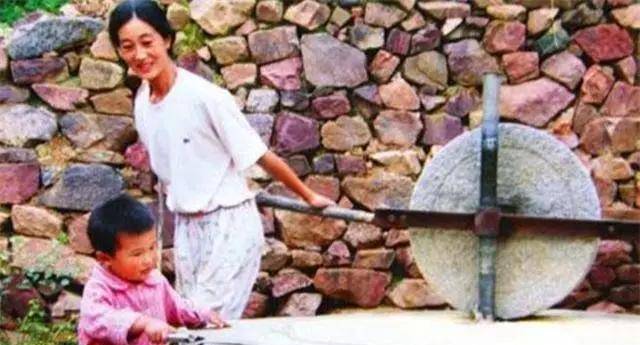 北大学霸王青松:两次考博第一名却被拒,选择归隐山林获老婆立挺_张梅