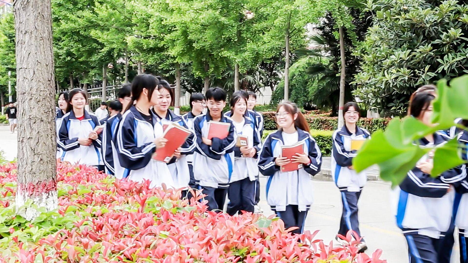 喜报恭祝陕西华山技师学院学子在2024年单招考试中获得优异成绩