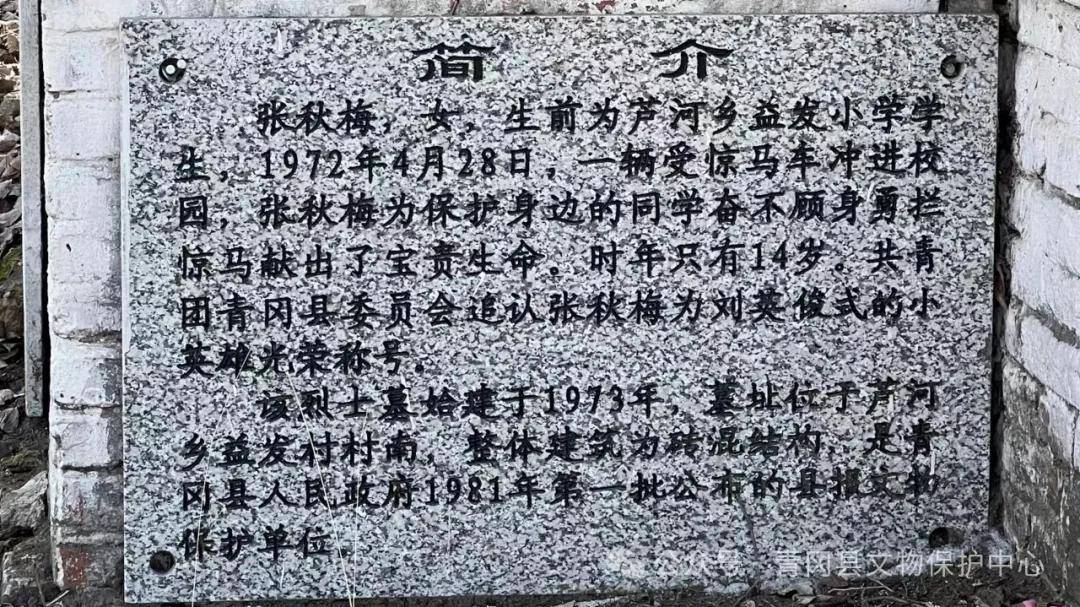 青冈县文物保护中心开展春季文物保护巡查