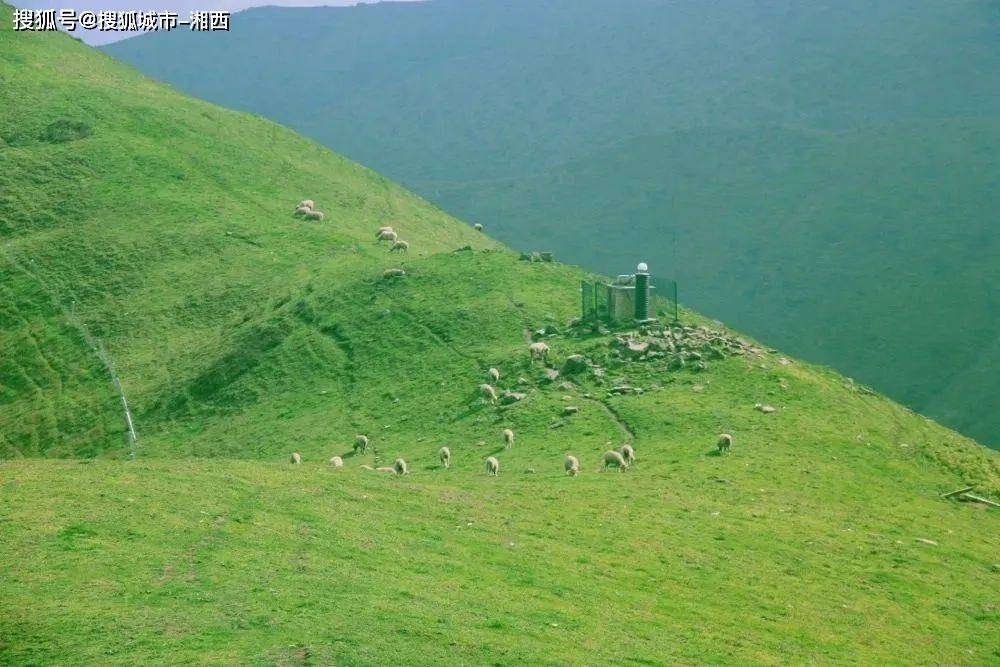 每日一景云南会泽大海草山美如画卷