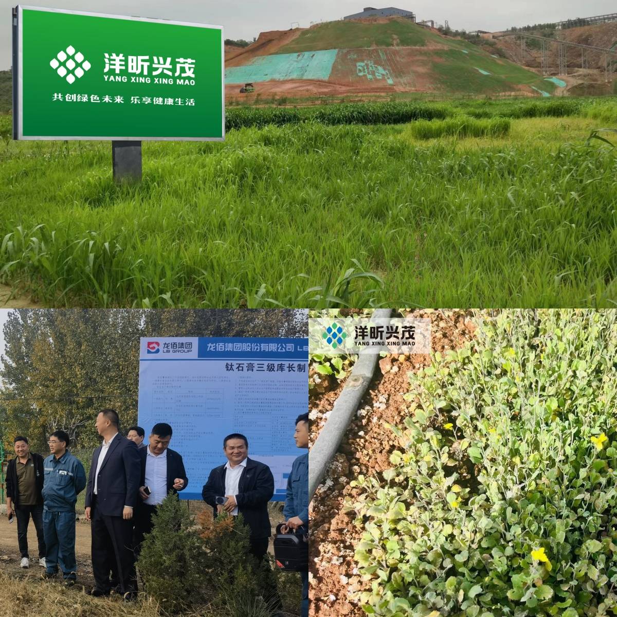 龙佰集团甘肃佰利联钛石膏引领西北戈壁返绿新方向