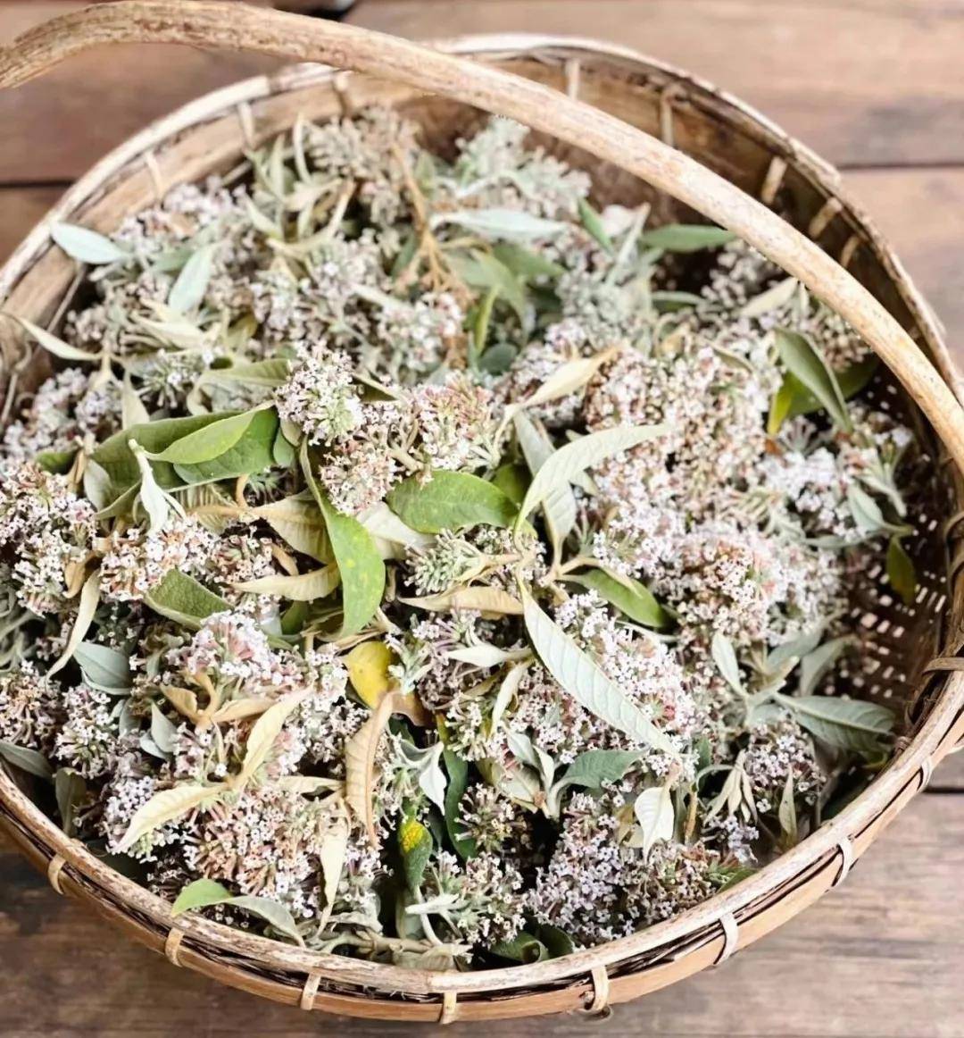 密蒙花染饭是云南人和贵州人的特有的浪漫.