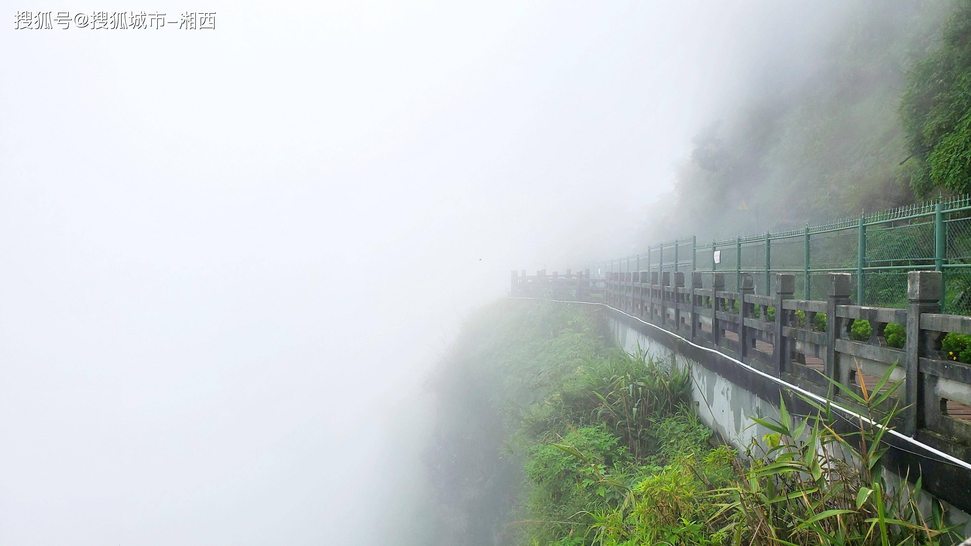 翻越垭口,一小会儿,就到了多依树观景台,和印象里的原始不一样,这次来