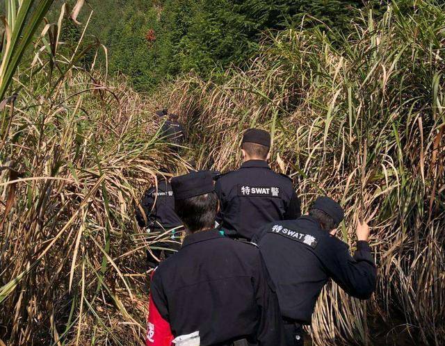 2016年安徽一男子上吊未遂后骂人游玩母女经过时回嘴发生意外