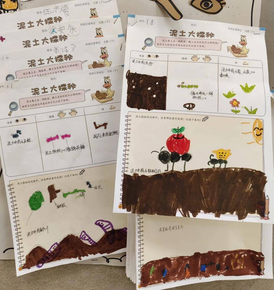 泥土_调查_大自然