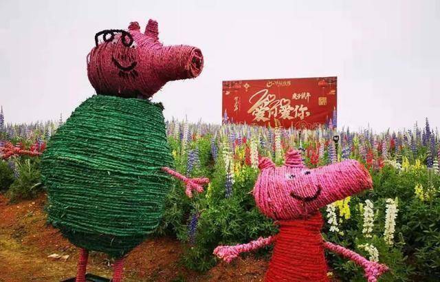 别出心裁华辰玫瑰园你怎么这么这么的好看
