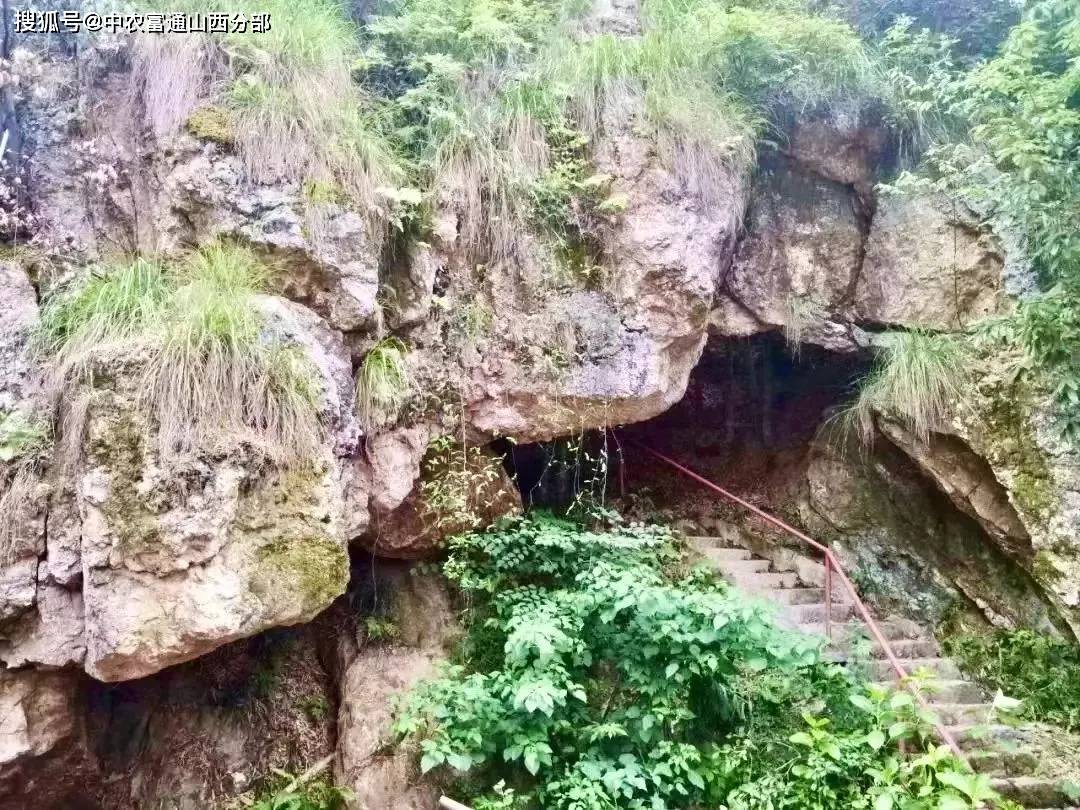 乡村_潭村_业态