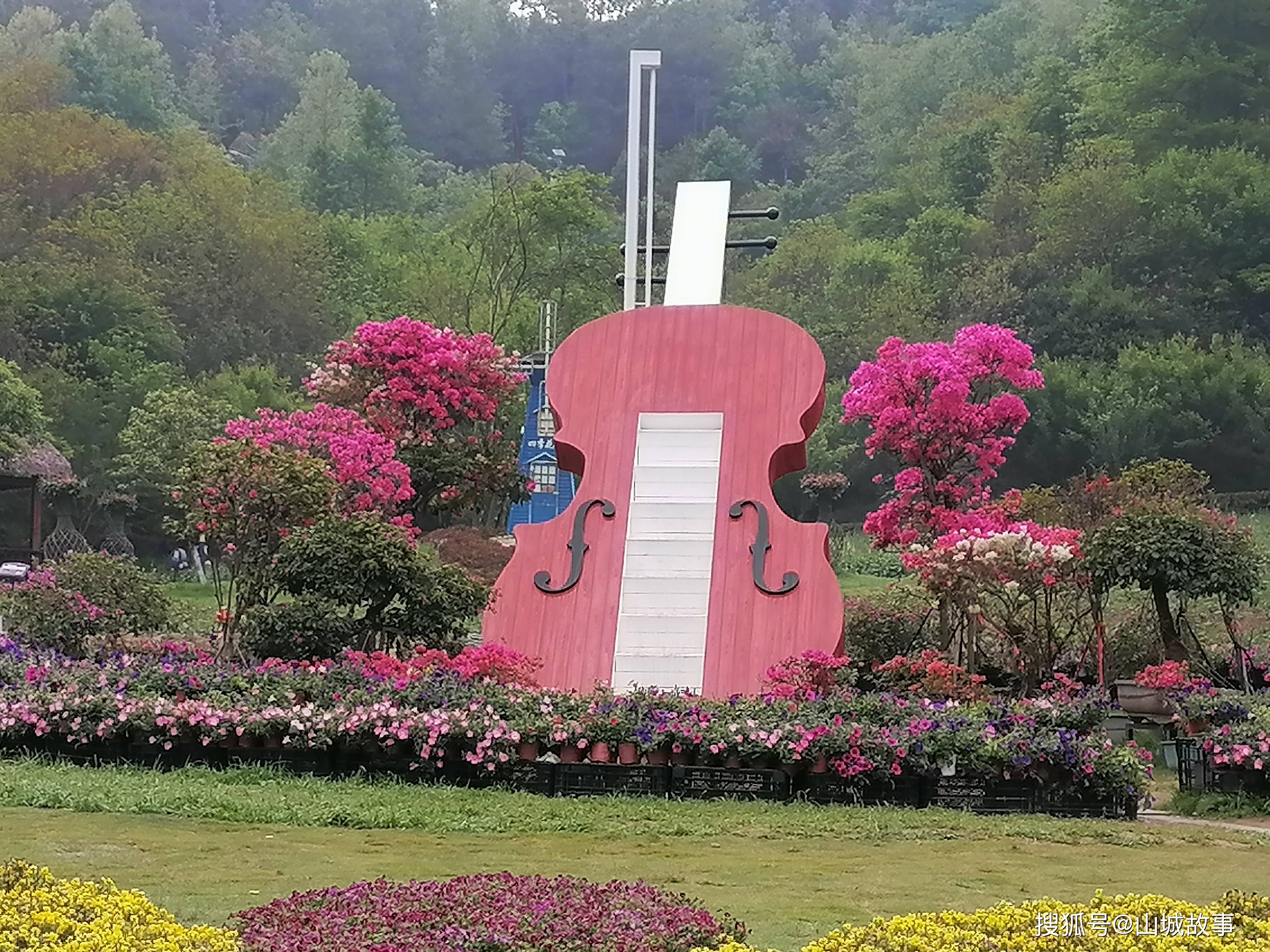如花的生活如海的花
