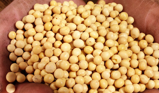 十个女人八个患妇科病,平时吃点它,消炎杀菌,保护子宫