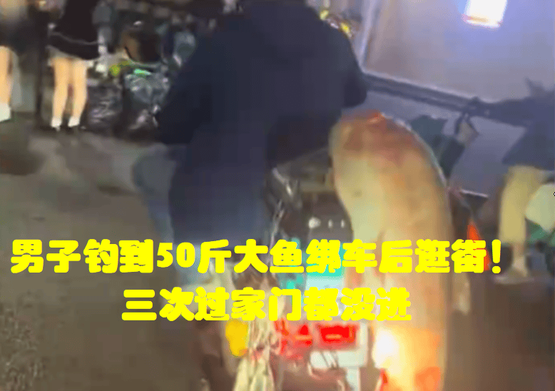 原创            男子钓到50斤大鱼绑车后逛街！三次过家门都没进