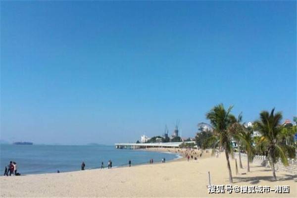去厦门旅游四天三晚怎么安排,去厦门旅游自由行还是报团好