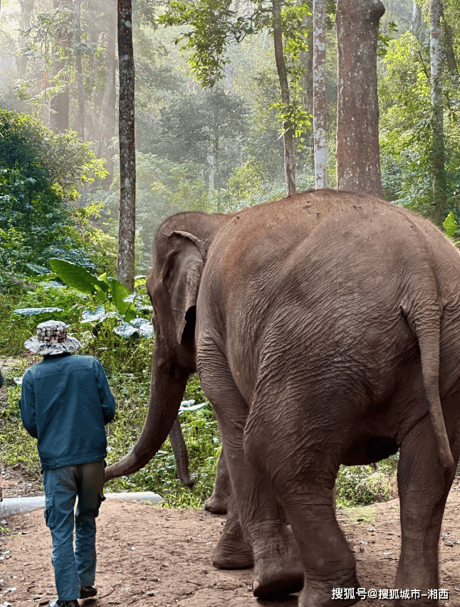 云南五天四晚旅游攻略规划 西双版纳野象谷五日游费用多少钱?