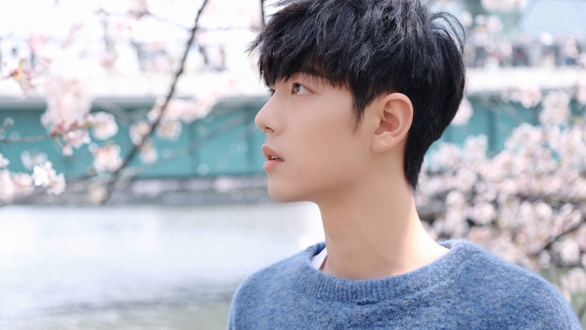 娱乐连连看:肖战,杨颖,邓为,郭碧婷,冯绍峰,李兰迪