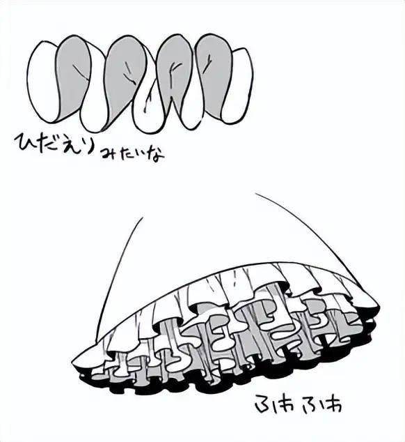 【水彩之翼教育】褶皱花边怎么画?学习褶边的画法和构造!