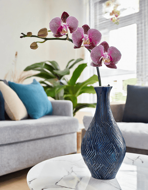 以时尚花瓶新篇章,续写市场潮流传奇